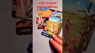 ЧТО НУЖНО ЗНАТЬ СЕЙЧАС #таро #феникстаро