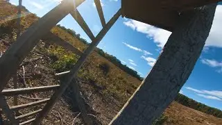 Tree Gaps