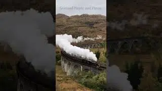 Harry Potter (The Jacobite Steam Train)
