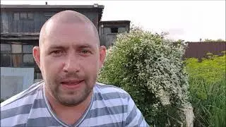 Молодожены в деревне.Анекдот.