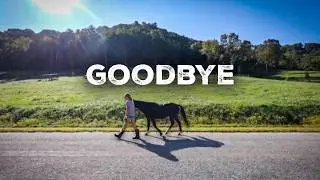 Selling Blaze, Freezing Broth + Homemade Lotion