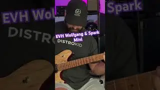 Positive Grid Spark Mini - EVH Wolfgang- Bareknuckle Nailbombs 