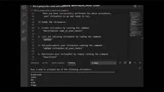 Setting up Python Virtual Environment