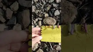 мега улов горной рыбалки