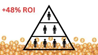 Crypto Ponzi Schemes You've Never Heard Of