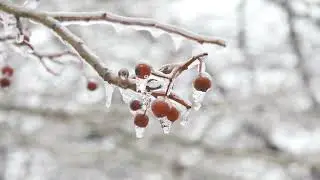 Обзор погоды за 31 марта Витебск #рб #погода #weather #витебск #климат