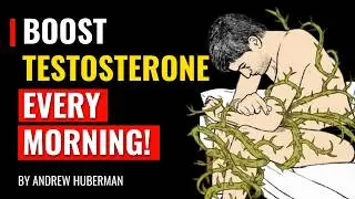 Joe Rogan - 3 Proven Ways To Increase Your Testosterone