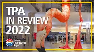 TPA 2022 Year in Review