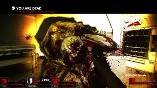 what is l4d2 kinemortophobia even about bruh