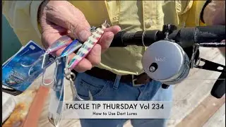 TACKLE TIP THURSDAY Vol 234 (How to Use Dart Lures)