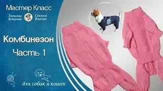 Jumpsuit for dog knitting, part 1