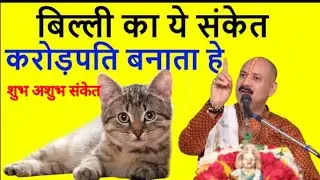 billi ke sanket, बिल्ली का ये संकेत भाग्य बदलता है। बना देगा आपको करोड़पतिसकुन अपसकुन