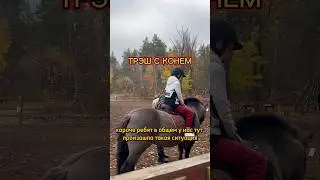 Конь обделался на мальчика, Смешная история 