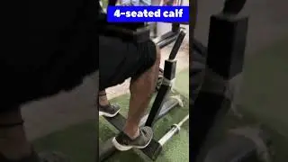 Best 5 Exercises for Calf Muscles