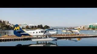 Harbour Air flight