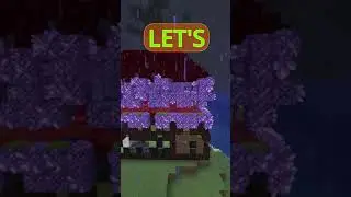 Minecraft Can You Spot Them