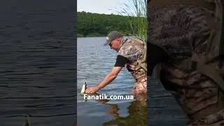 Щука на Спінінг