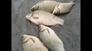 наш быт