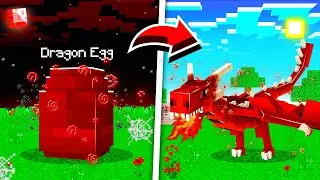 How to FIND the SECRET DRAGON EGGS in Minecraft!