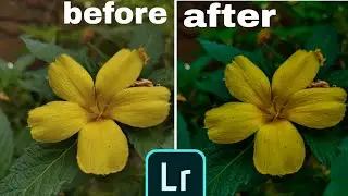 How to editing in lightroom
