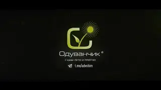 Принципы работы компании Одуванчик
