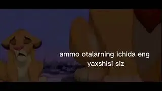 909tv Qirol sher.