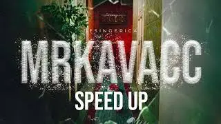 DESINGERICA - MRKAVACC (SPEED UP)
