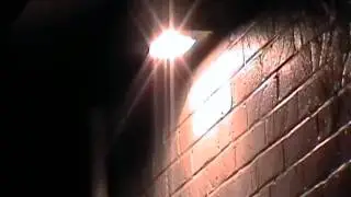 clips of the week