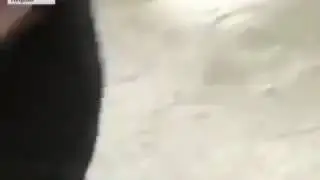 Pr