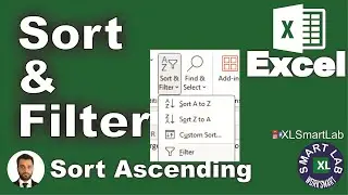 Sort & Filter - Excel Tutorial for Beginners - Playlist Part 10/28 #sort @worksmartwithsharaz