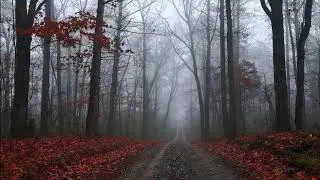 Lorenzo Montanà - Fall's Odyssey