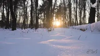 ✨✨ Для души...  Мгновения Блаженства... -  Аверьянов Сергей   Averyanov Sergey -  Bliss Moments