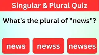 Singular and Plural in English Grammar Quiz 1: Can You Score 10/10?