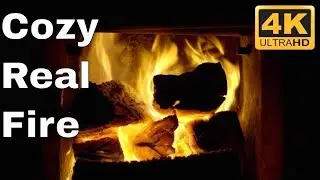 Looping Fireplace Screensaver