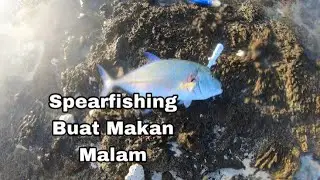 Keliling Cocos dan Spearfishing Buat Makan Malam