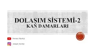 11. Sınıf Dolaşım Sistemi - 2 (Kan Damarları - Kılcaldamarlarda Madde Alışverişi)