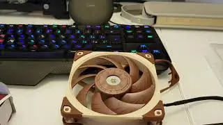 Noctua NF-A12×25 PWM лучший в мире?