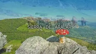 BELOKI 1.276 M Y TUTURRE 1.282 M. DESDE ALBI-NAVARRA