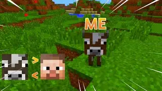 Disguise » Plugin Pocketmine [FREE]