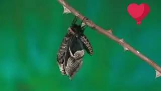 Переходим на новый уровень