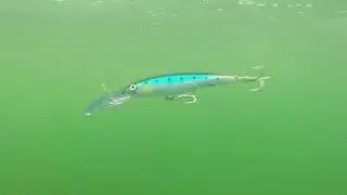 Воблер Rapala X Rap Magnum