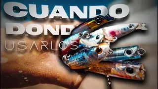 WHEN and WHERE to use EACH Lure [Spinning Fishing]