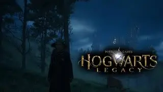 ТАЙНЫ МЕРЛИНА Hogwarts Legacy #6