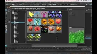 3D Basics in Maya - Adding plants with Paint Effects