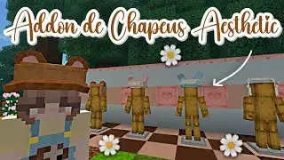 👒 ADDON AESTHETIC DE CHAPÉU +1.20