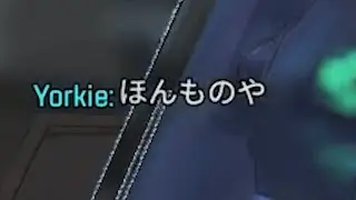 垂直グラップル使うだけで本物ってバレたんだがwwww【APEX】