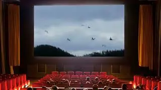 ЛЮБОВЬ И ГОЛУБИ:  ГОЛУБИ ЛЕТАЮТ ПОД МУЗЫКУ
