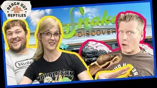 Snake Discovery: What You DON'T Get To See!