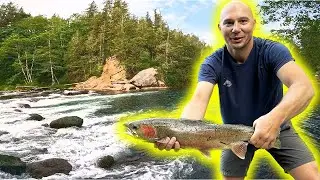 Can't Believe We Caught THIS Steelhead Fishing for Trout in Our SECRET SPOT