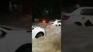 Сочи.УЖАС.2022😱😱😱